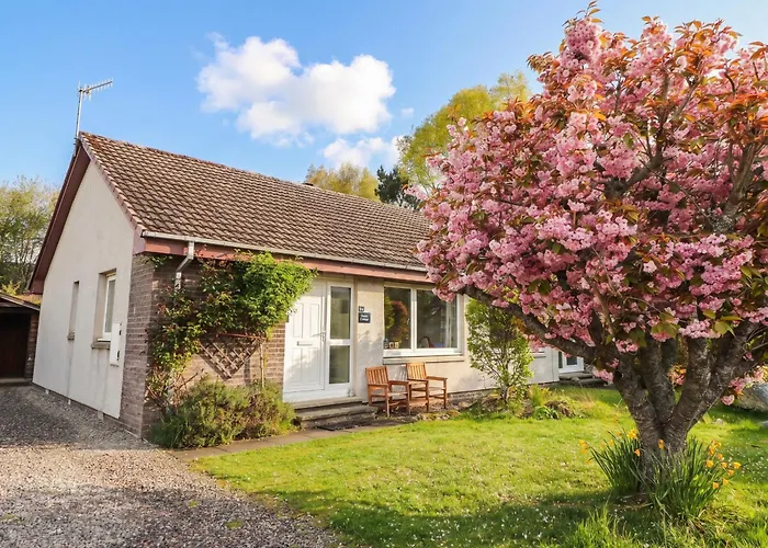 Steam Cottage