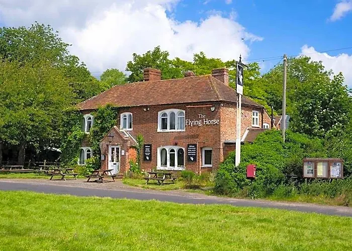 The Flying Horse