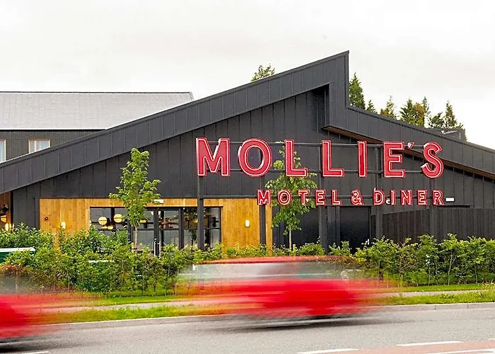 Mollie'S Bristol
