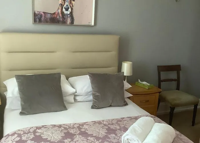 The Dolphin Hotel