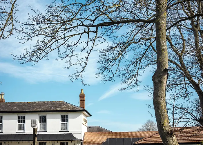 The Oakwood Hotel