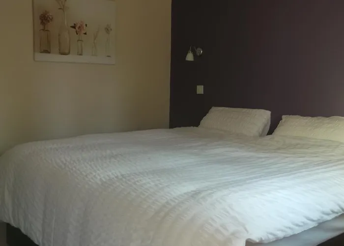 Aber Falls Hotel & Butterfly Rooms