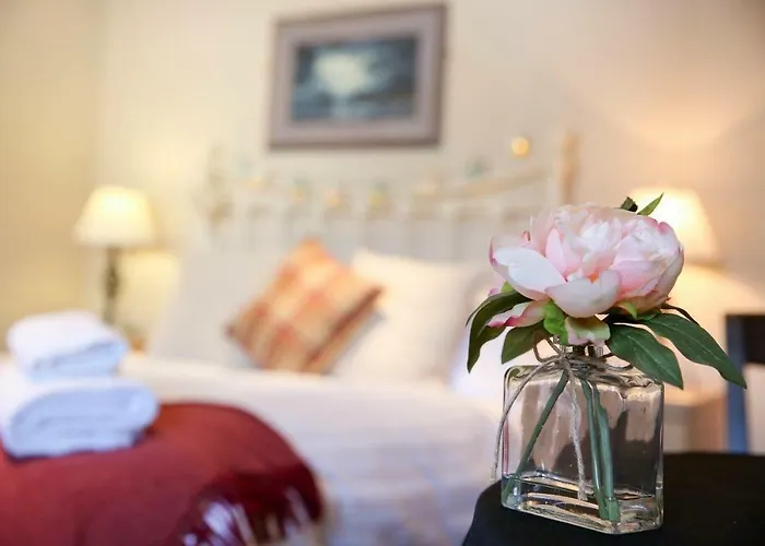 Cobbleview Rooms Whitby